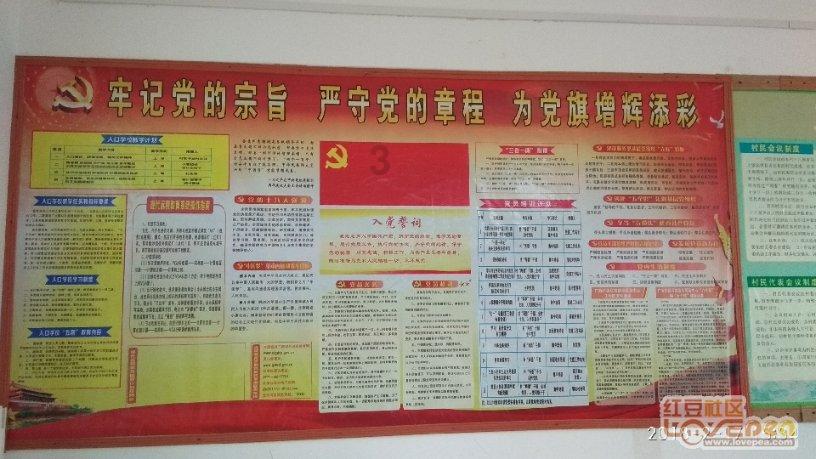 怎么解决肚子胀气便秘游戏画面